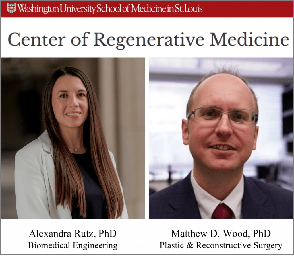 Rutz and Wood awarded Center for Regenerative Medicine Seed Grant